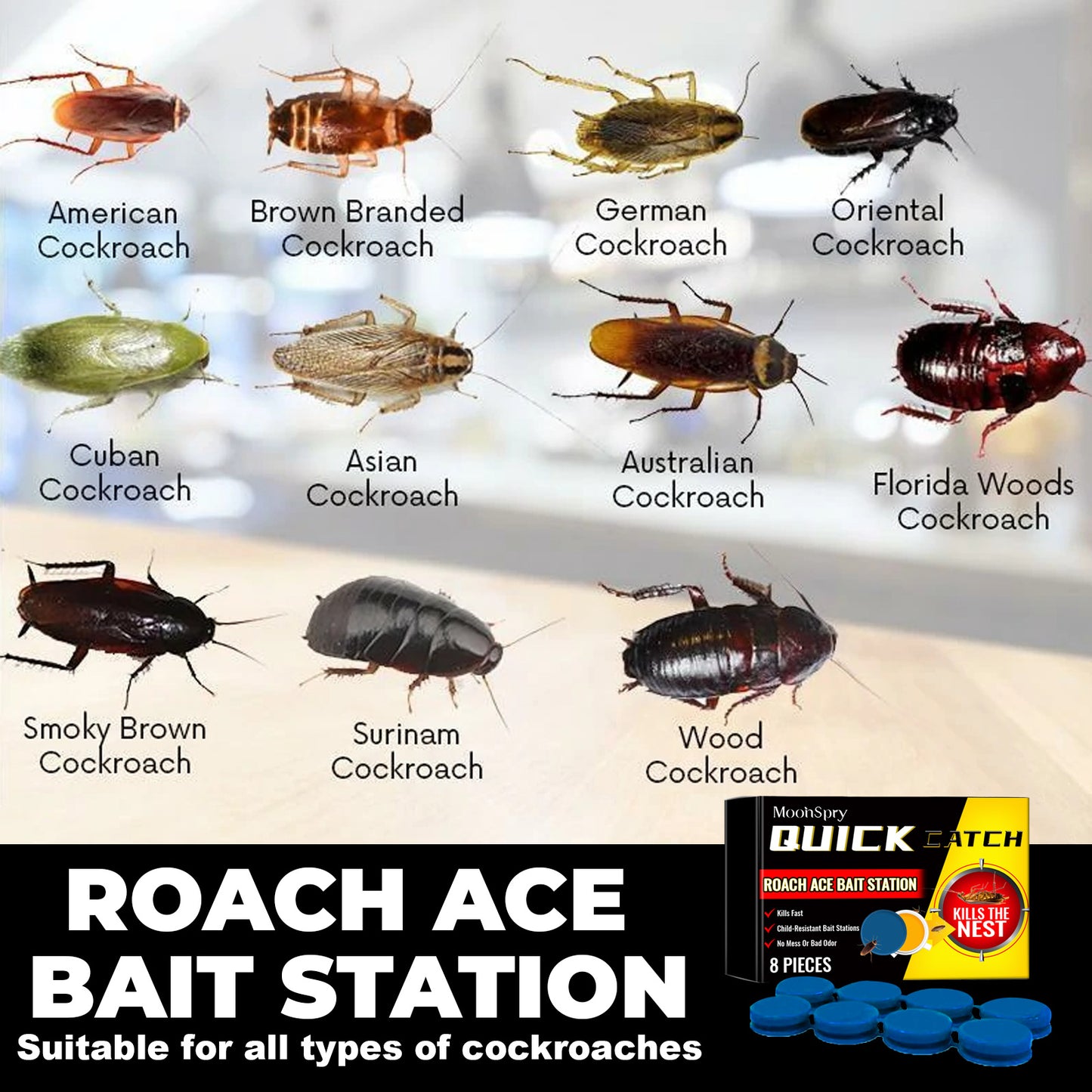 MoonSpry cockroach bait station insect repellent cockroach bait kitchen home cockroach killing whole nest end cleaner
