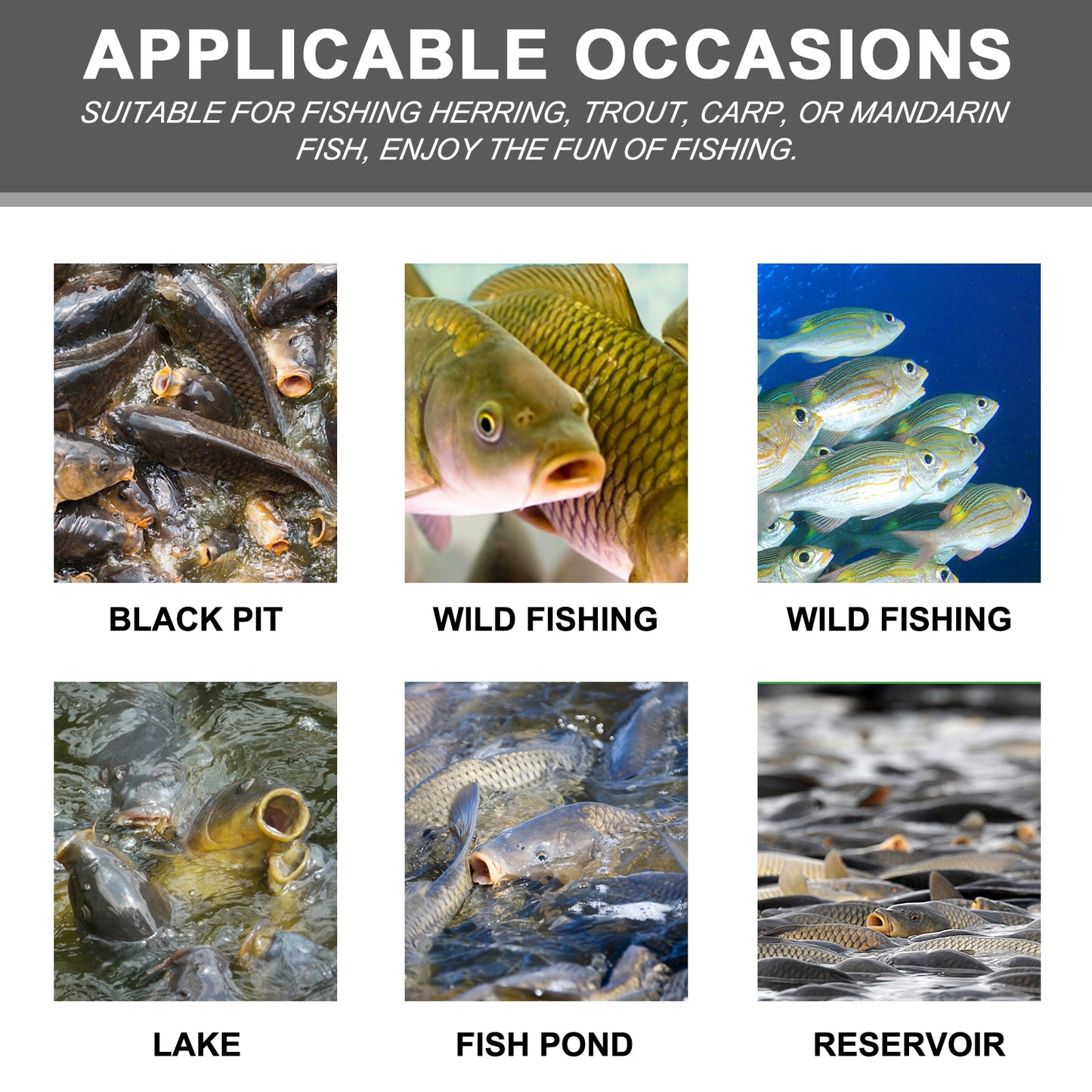 Yegbong corn fish bait reservoir fish bait fishing lure fish portable fish attractant