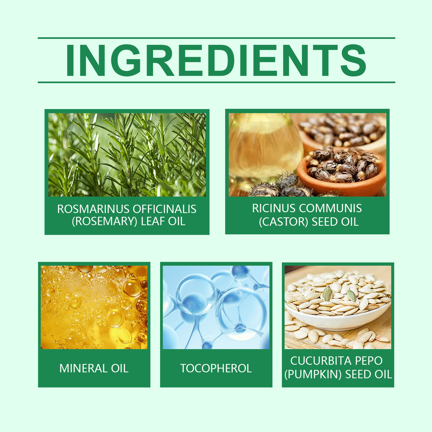 Hoegoa Rosemary Oil Hair Essential Oil Strong and Flexible Hair Nourishing Hair Care Rosemary Oil Essential Oil
