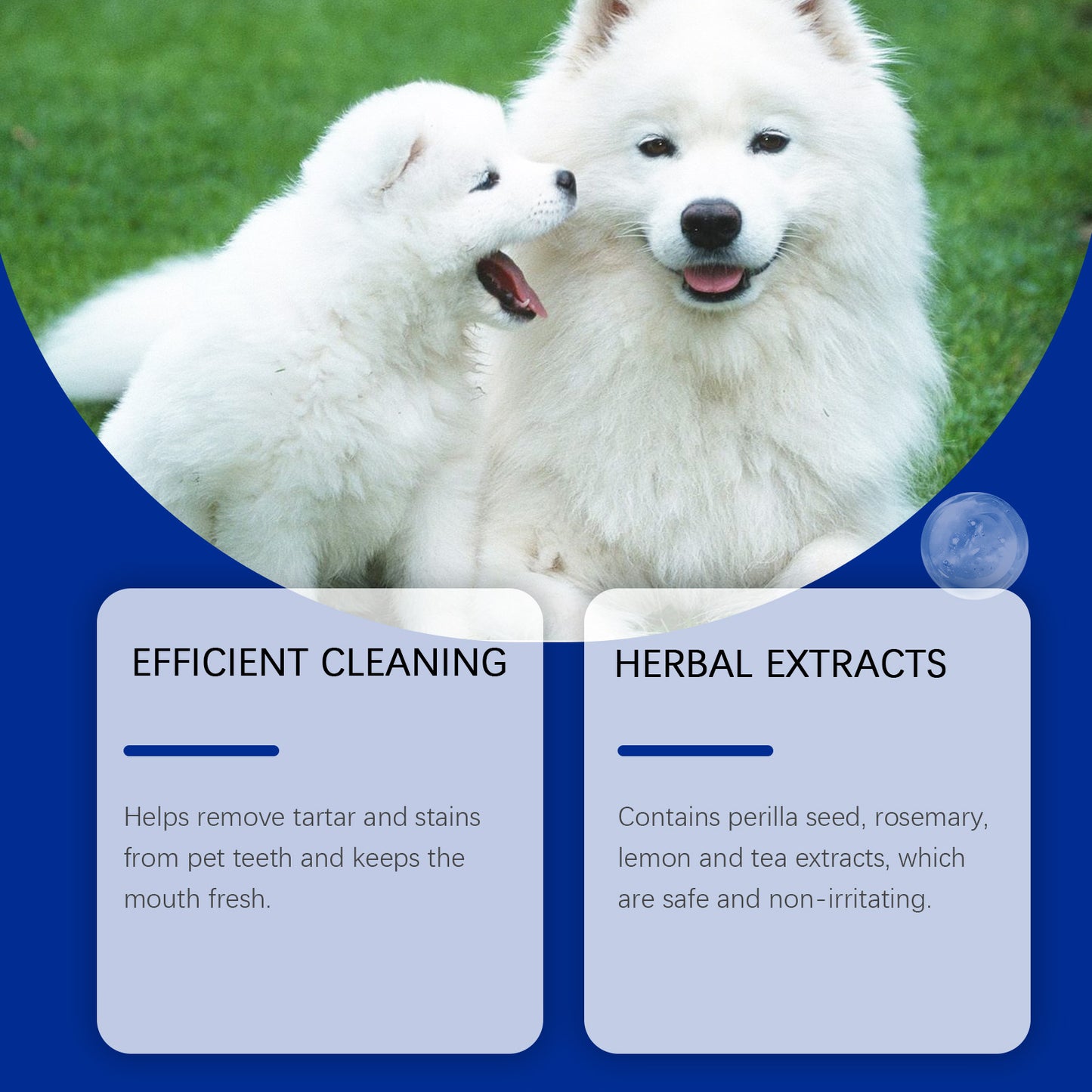 Yegbong dog teeth cleaning powder teeth cleaning powder gently cleaning tartar stains fresh breath