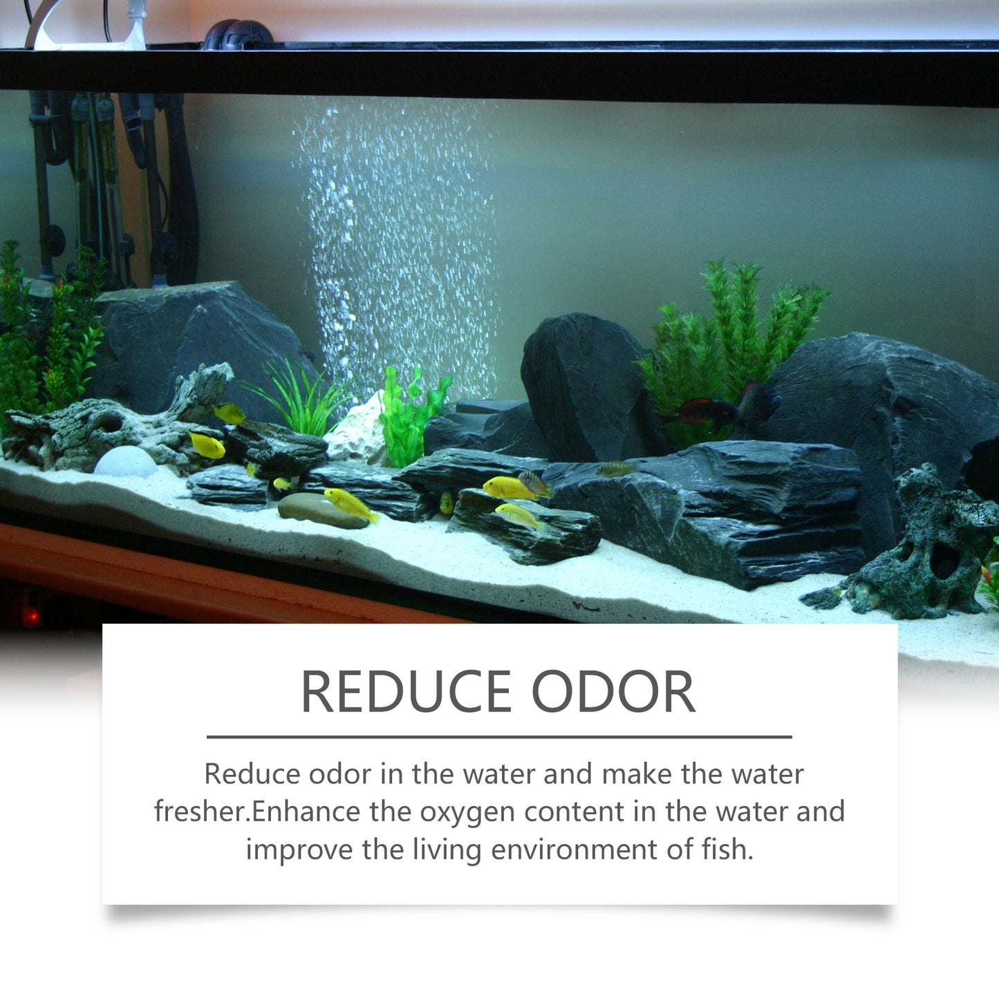 Yegbong fish tank water quality clarifier aquarium water quality clarification household fish tank decontamination cleaner