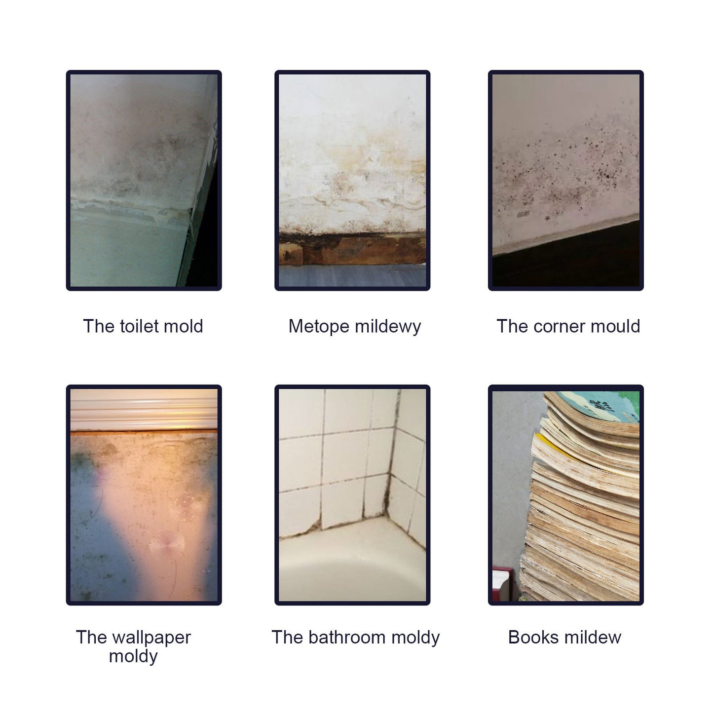 Jaysuing Mould Removal Spray Ceiling Bathroom Tile Wall Multi-effect Cleaning Mould Removal Spray