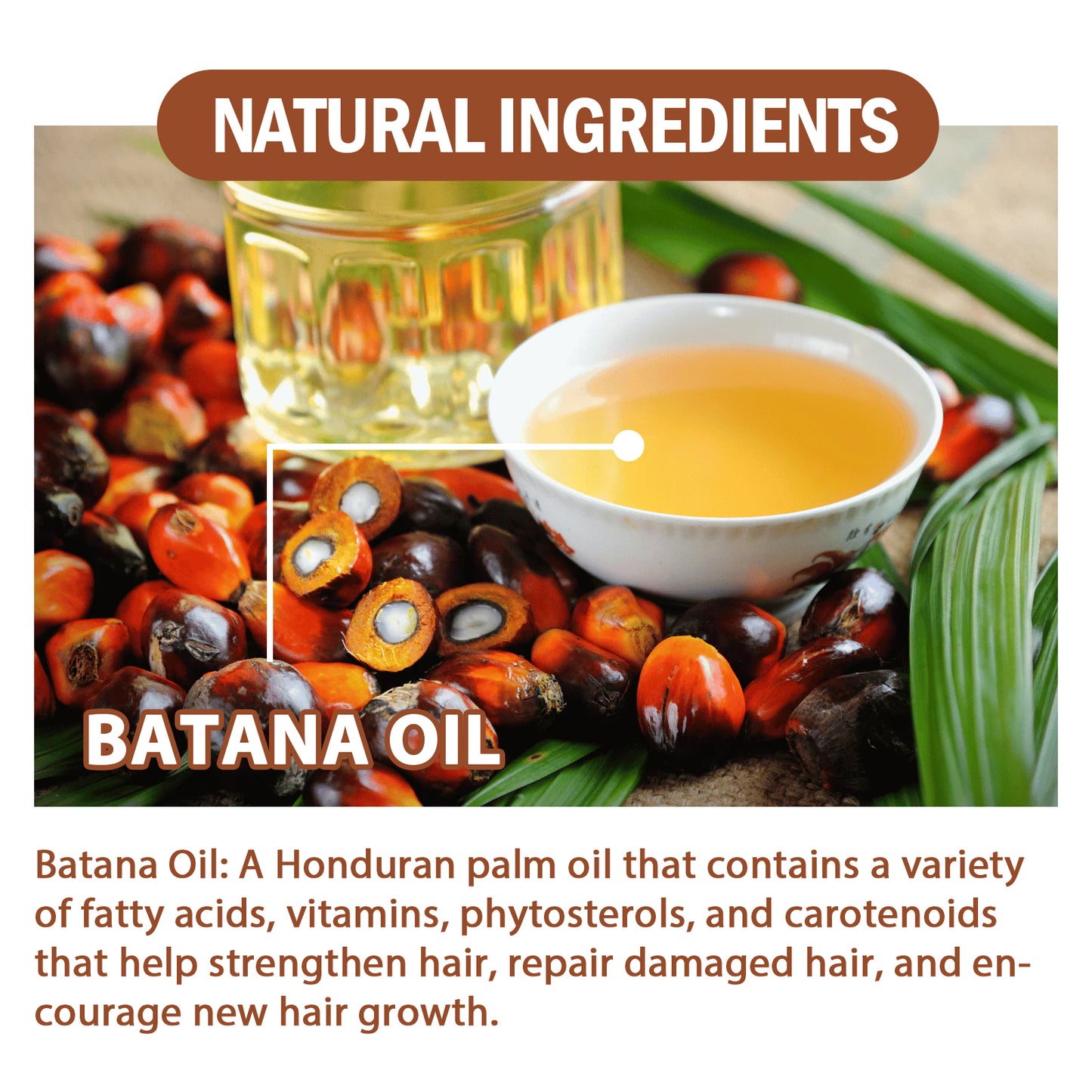 EELHOE Battana Oil Condiment Moisturizing and Hydrating Improving Dry and Fluffy Hair Care