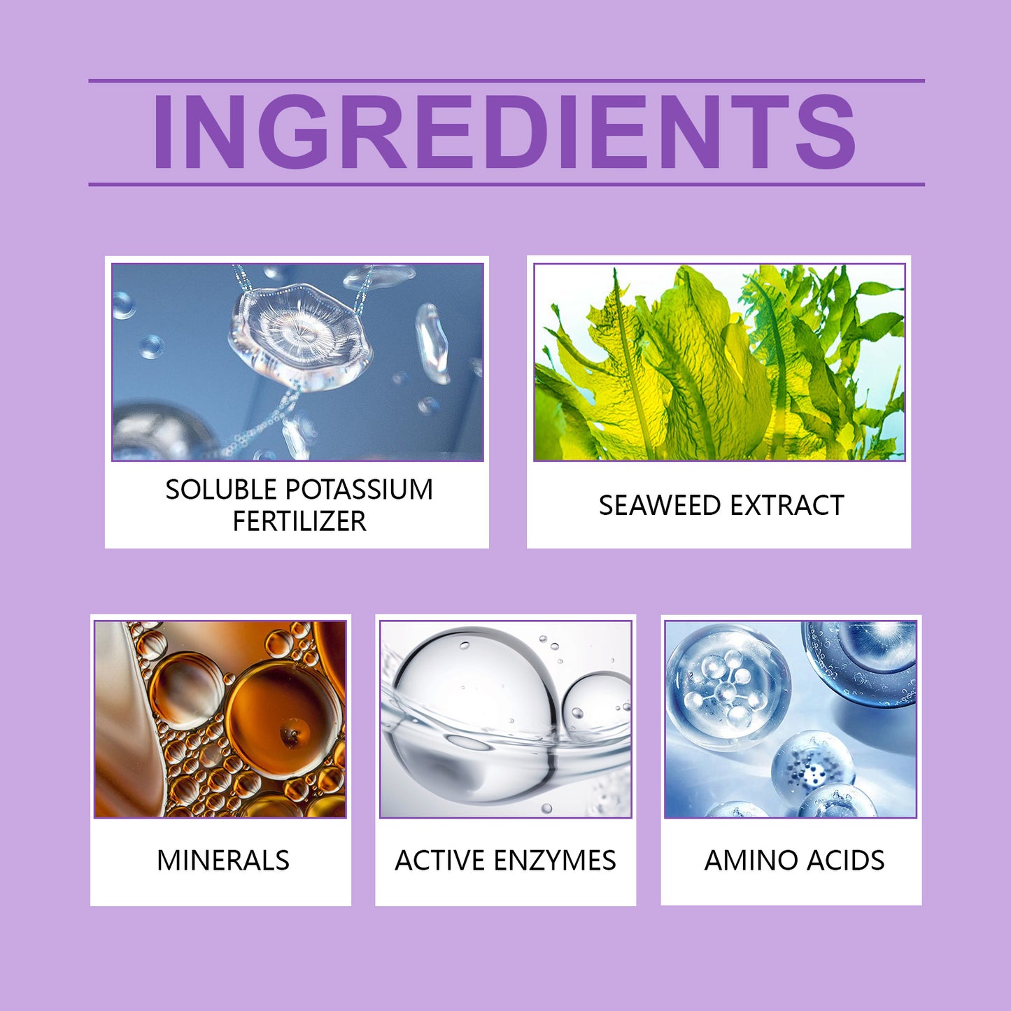 MoonSpry orchid plant growth agent flower green plant special nutrient solution orchid potted universal