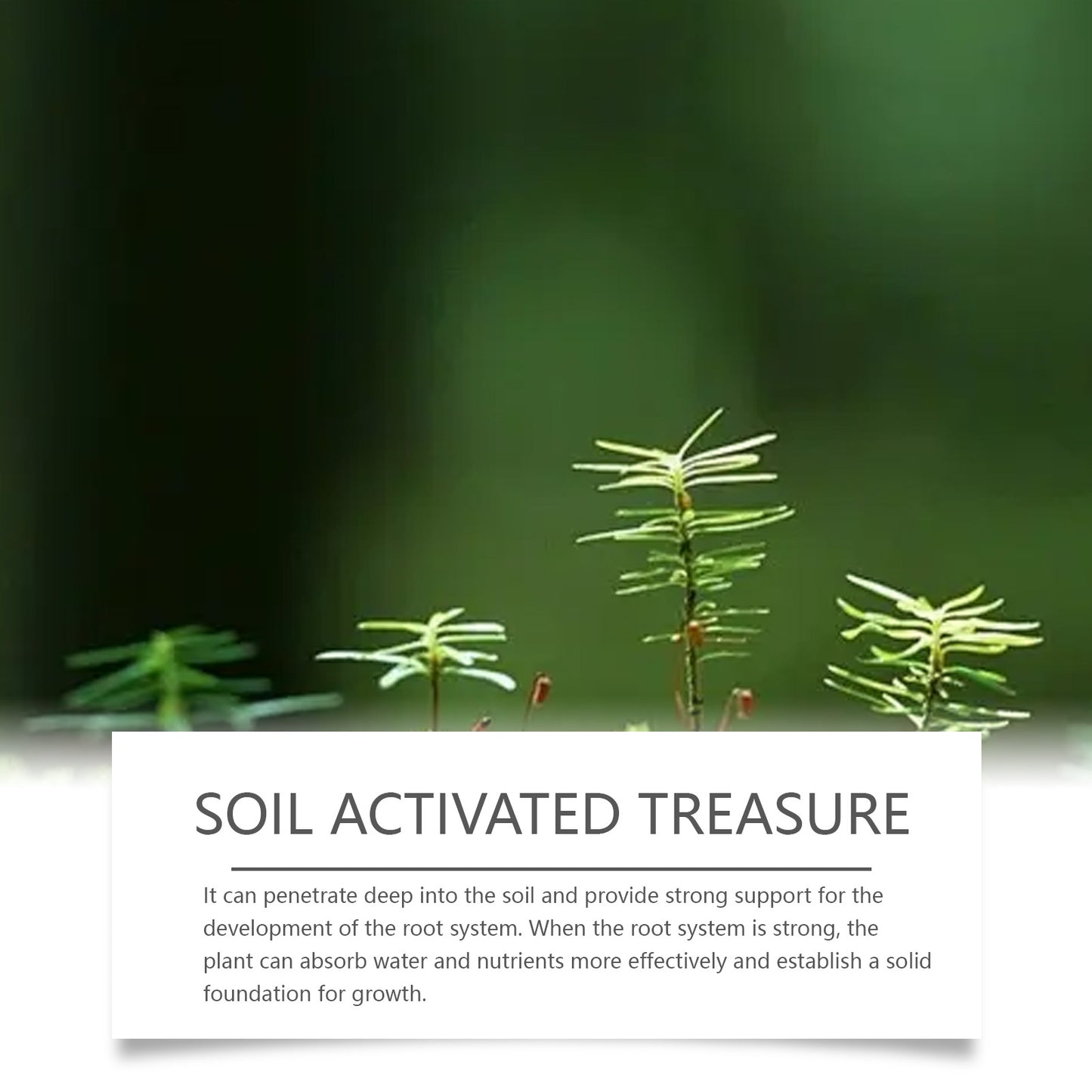 MoonSpry Soil Activator Universal Mild Granular Fertilizer Fruit Vegetable Planting Controlled Release Fertilizer Green Plant Fertilizer