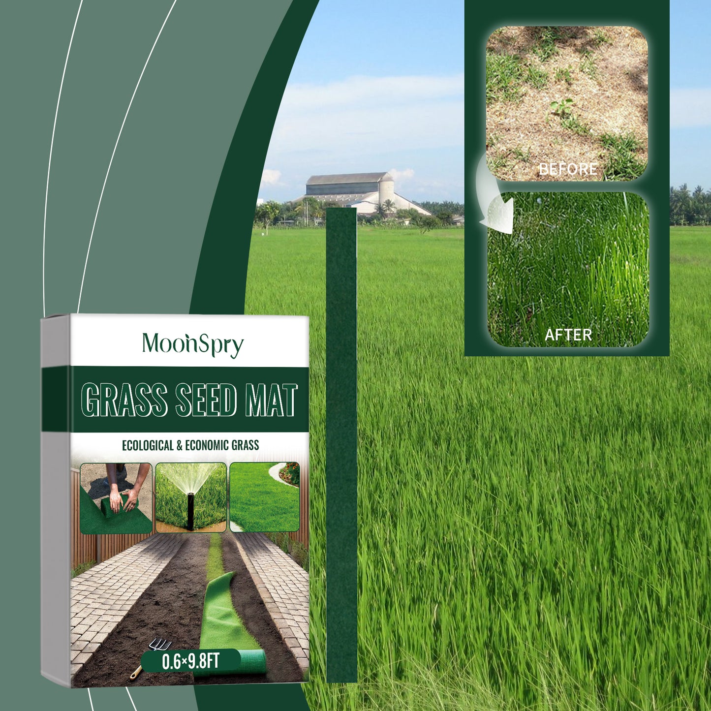 MoonSpry green ecological blanket plant green seed growth planting landscape optimization seed lawn blanket