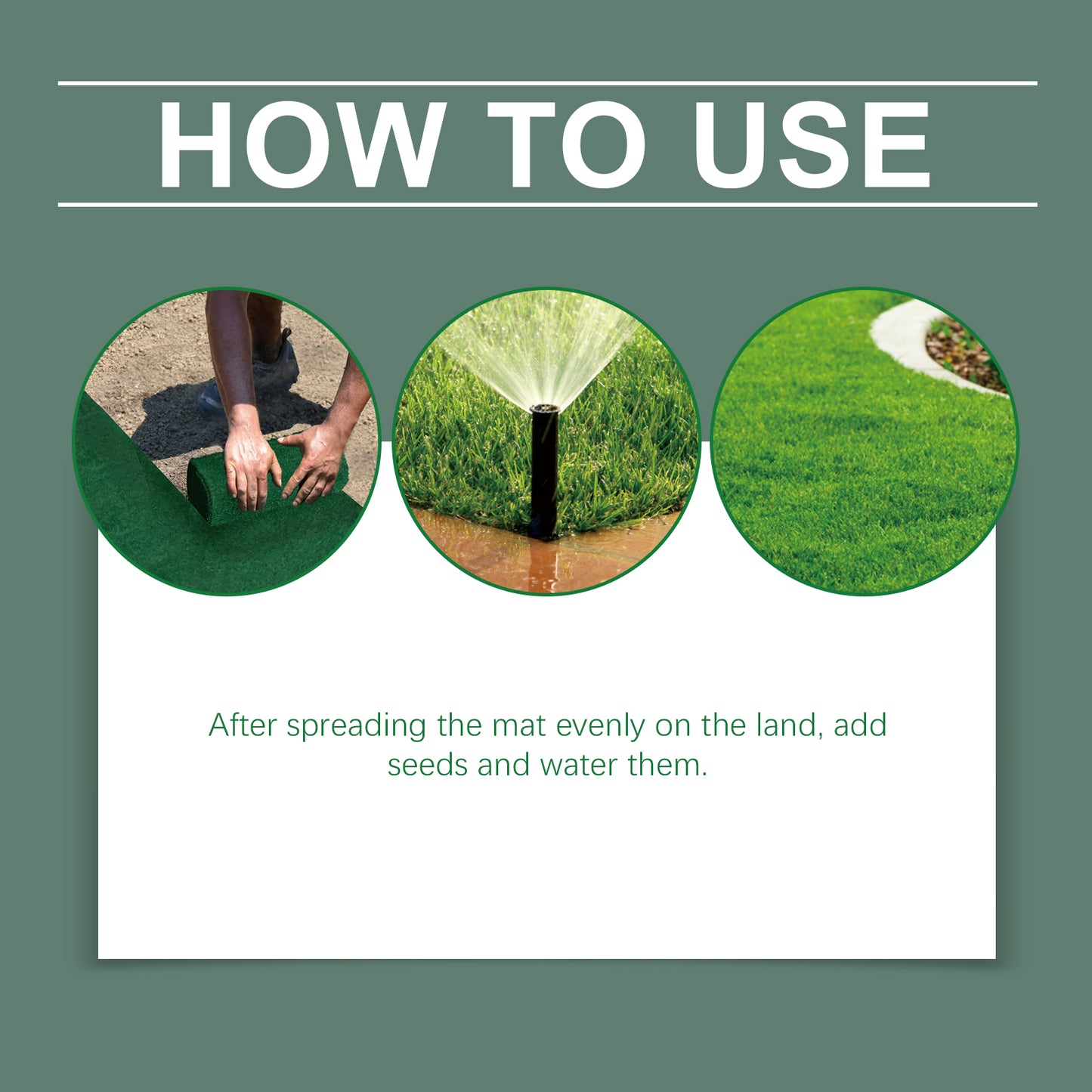 MoonSpry green ecological blanket plant green seed growth planting landscape optimization seed lawn blanket