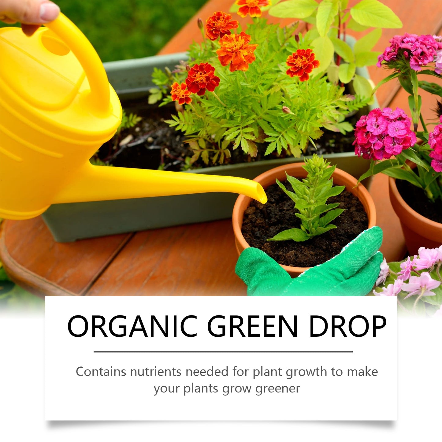 MoonSpry Plant Growth Solution Potted Green Leaf Lawn Flower Plant Hair Root Supplemental Fertilizer Nutrient Solution