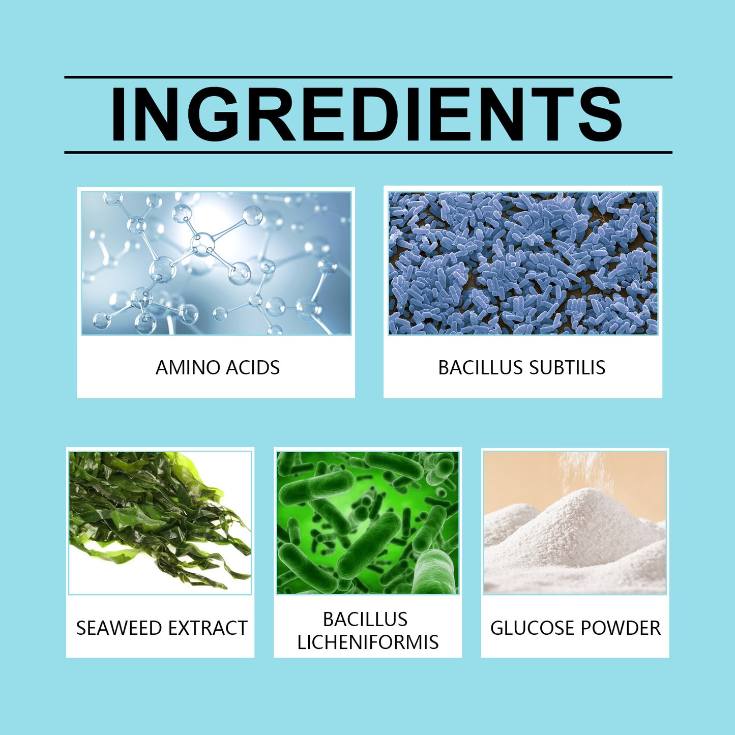 MoonSpry plant nutrition powder to promote plant growth and enhance vitality for a variety of plant nutrition powder