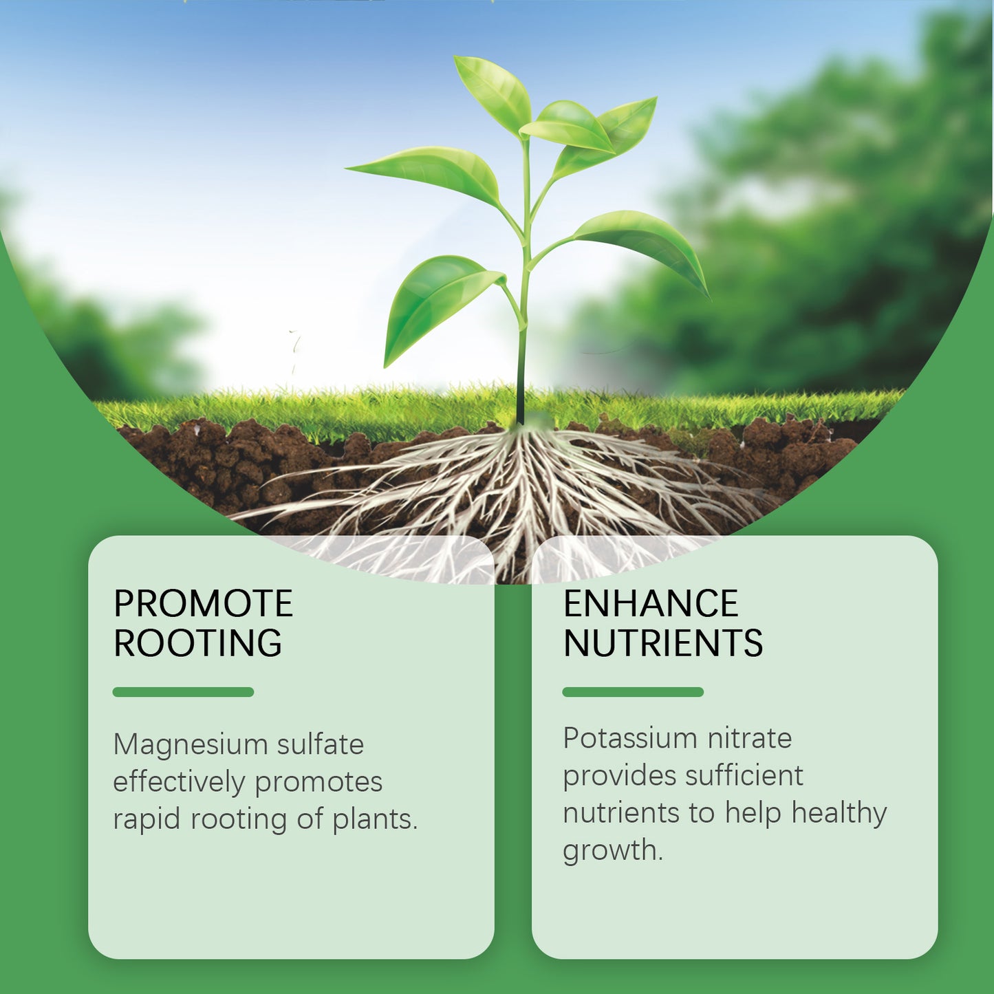 MoonSpry plant nutrient solution flower potted lawn green leafy lawn universal root growth plant nutrition