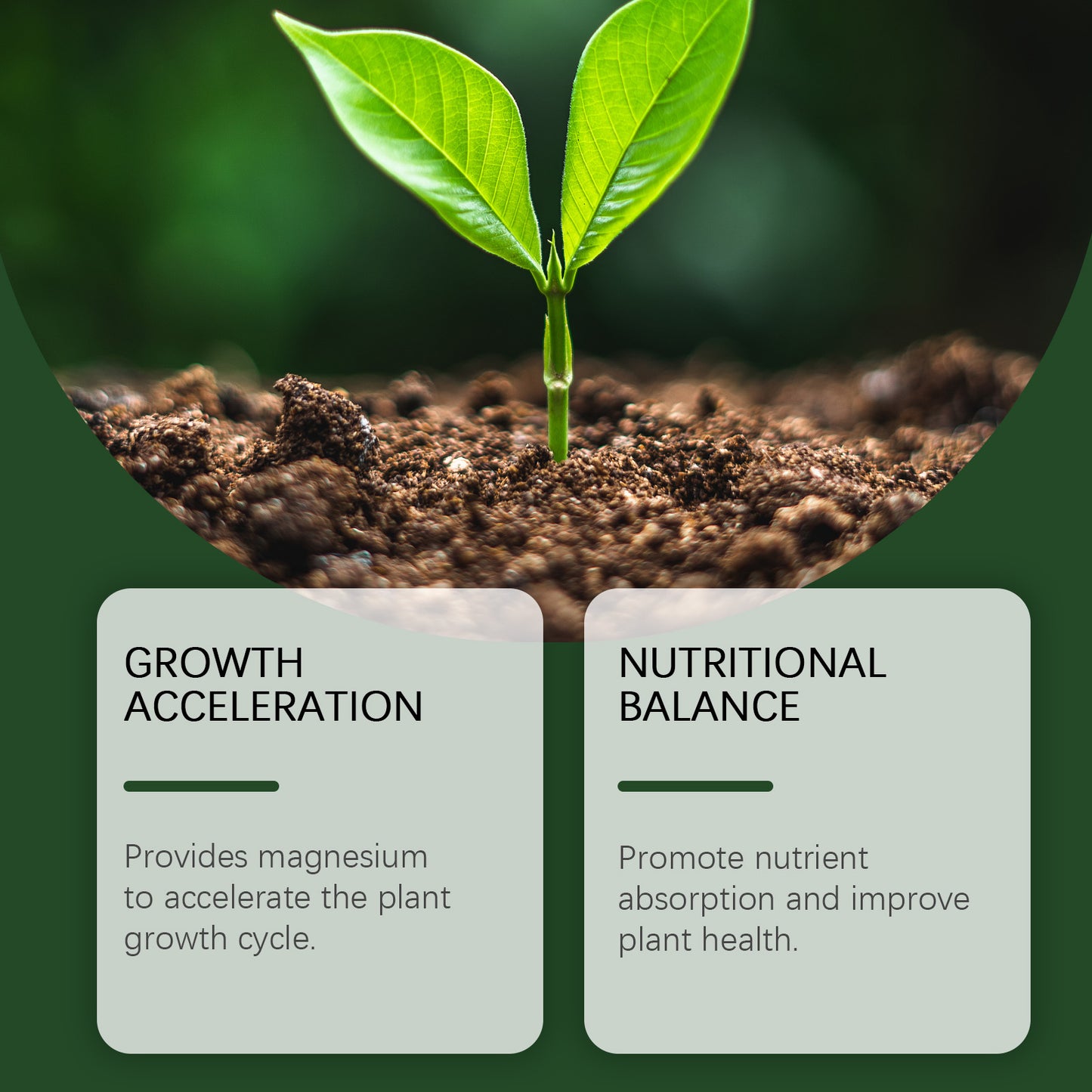 MoonSpry plant growth nutrient powder plant growth nutrient supplement soil conditioning plant nutrient agent