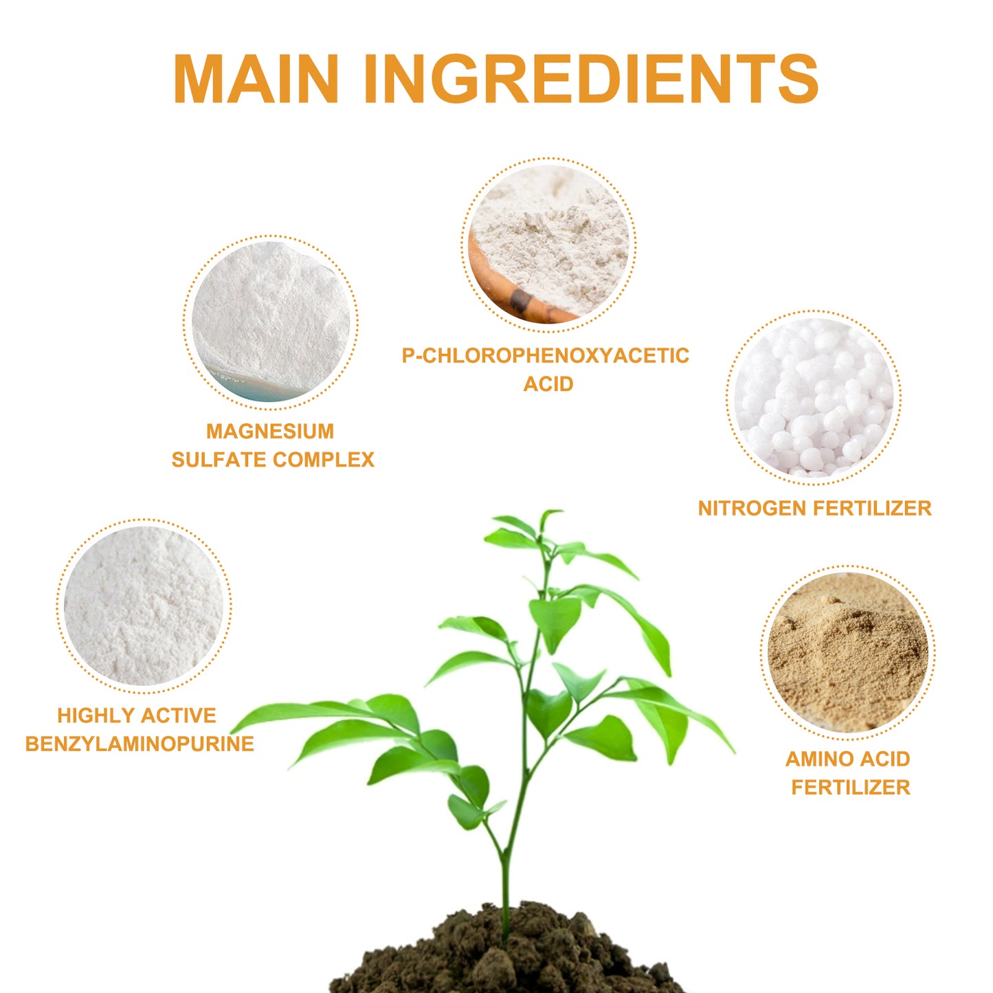MoonSpry citrus tree plant fertilizer orange fruit tree plant rooting green leaf beautiful fruit growth nutrient solution