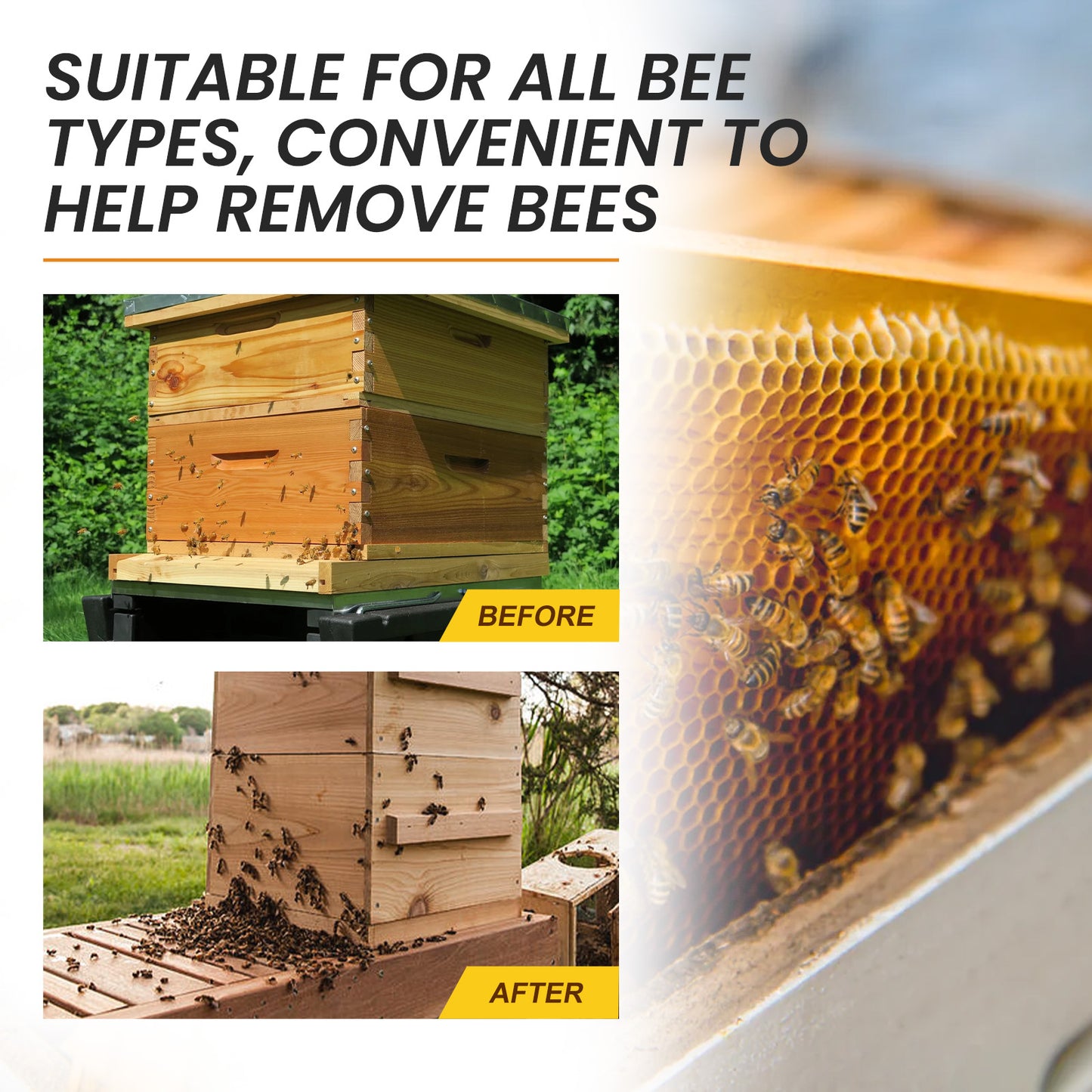 Moonspry bee attractant bee lure bee lure agricultural field gardening beekeeping bee lure essence