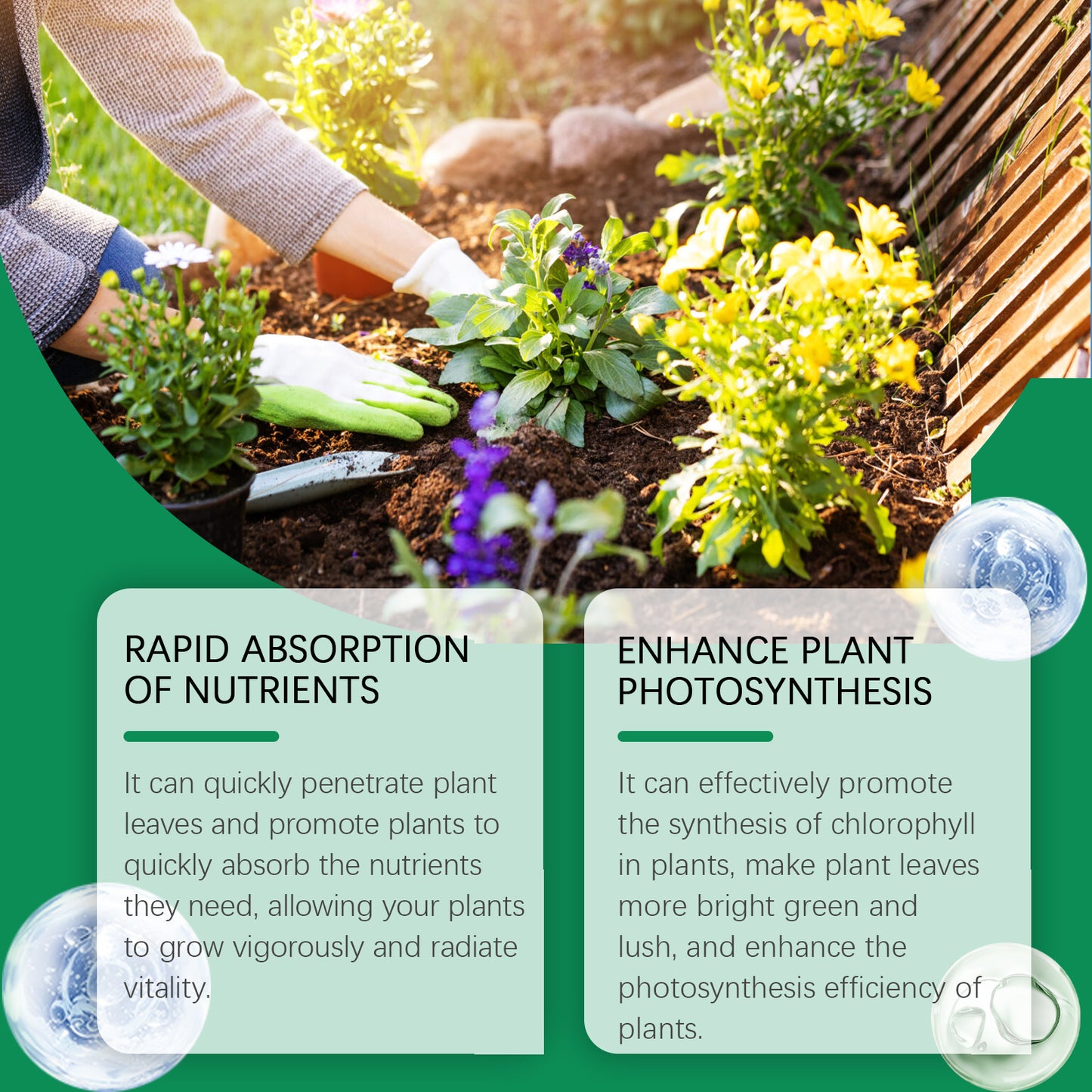 MoonSpry Chlorophyll Spray Flowers Fruit Trees Green Plants Green Leaves Healthy Growth Universal Whole Plant Nutrient Solution