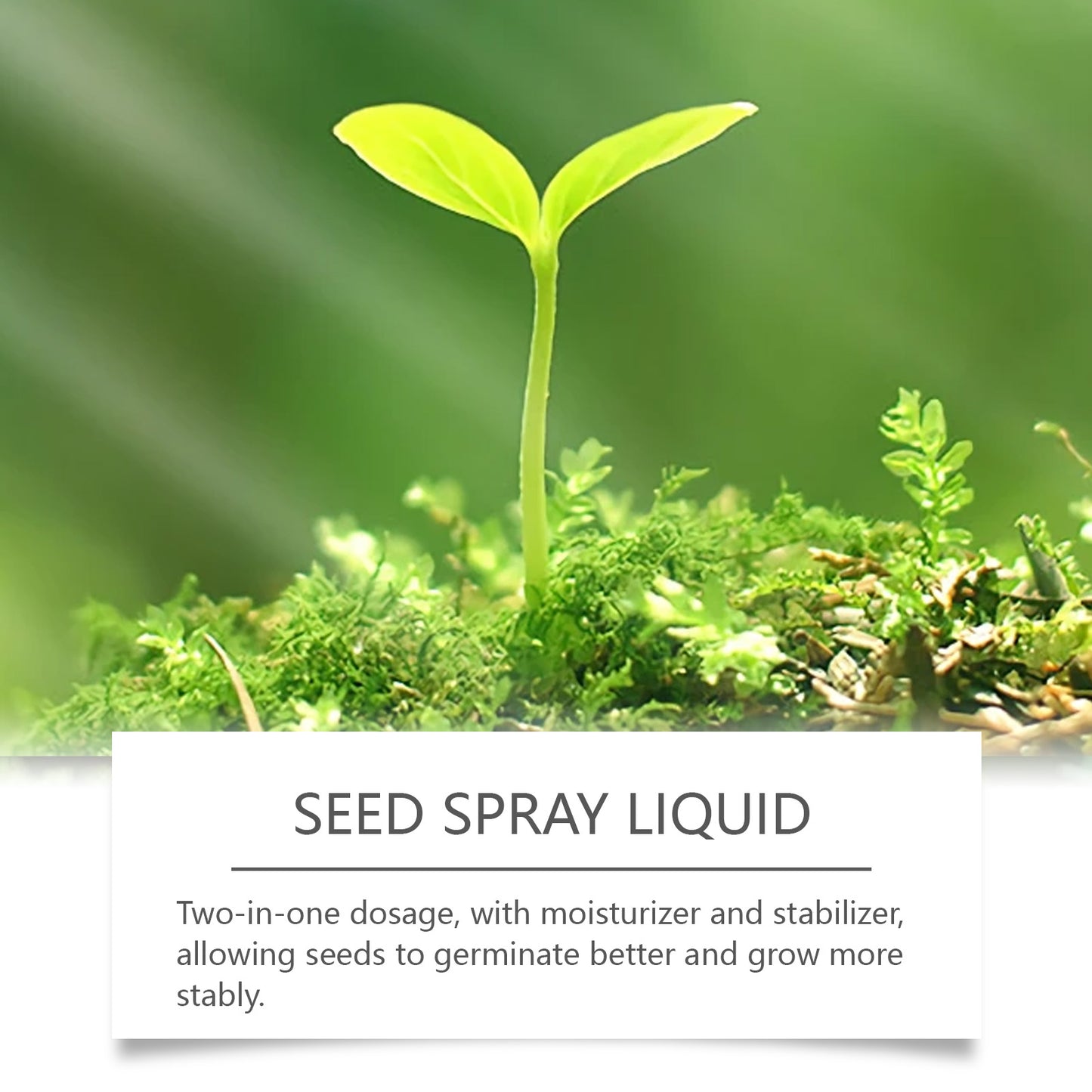 MoonSpry liquid lawn green spray flowers and fruit trees green planting green leafy grass plant spray