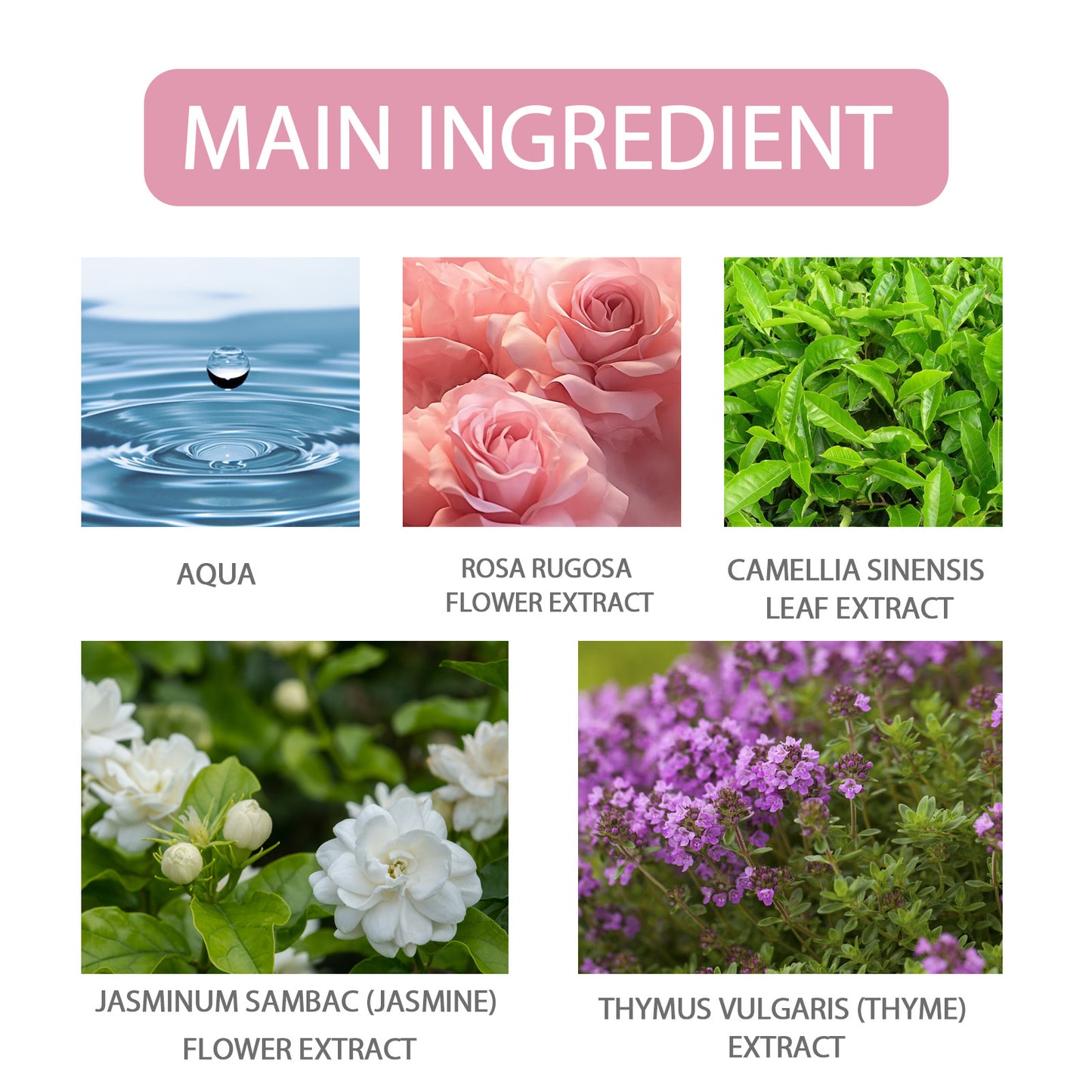Roxelis Pheromone Perfume Rose Fresh Elegant Perfume Dating Atmosphere Lasting Charm Lasting Fragrance Women's Perfume