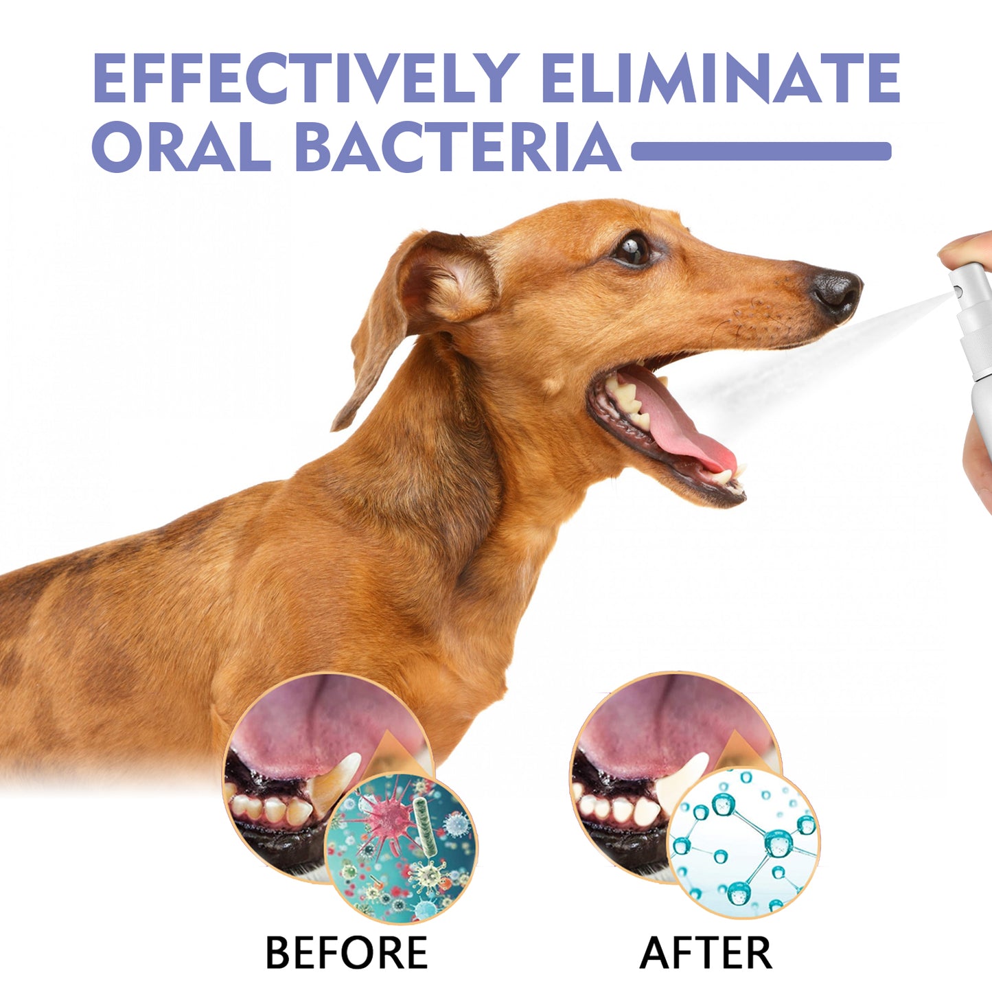 Yegbong cat and dog teeth cleaning spray to remove tooth stains fresh breath pet oral care spray