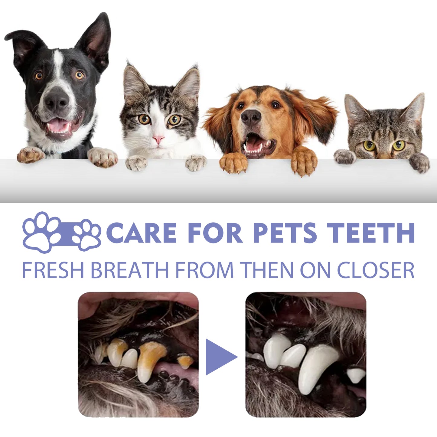 Yegbong cat and dog teeth cleaning spray to remove tooth stains fresh breath pet oral care spray
