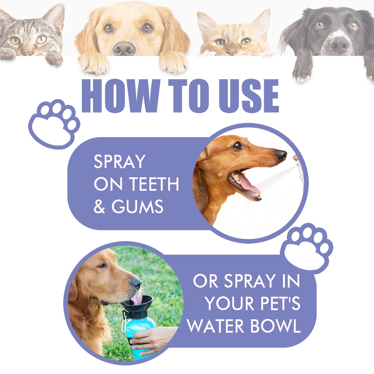 Yegbong cat and dog teeth cleaning spray to remove tooth stains fresh breath pet oral care spray