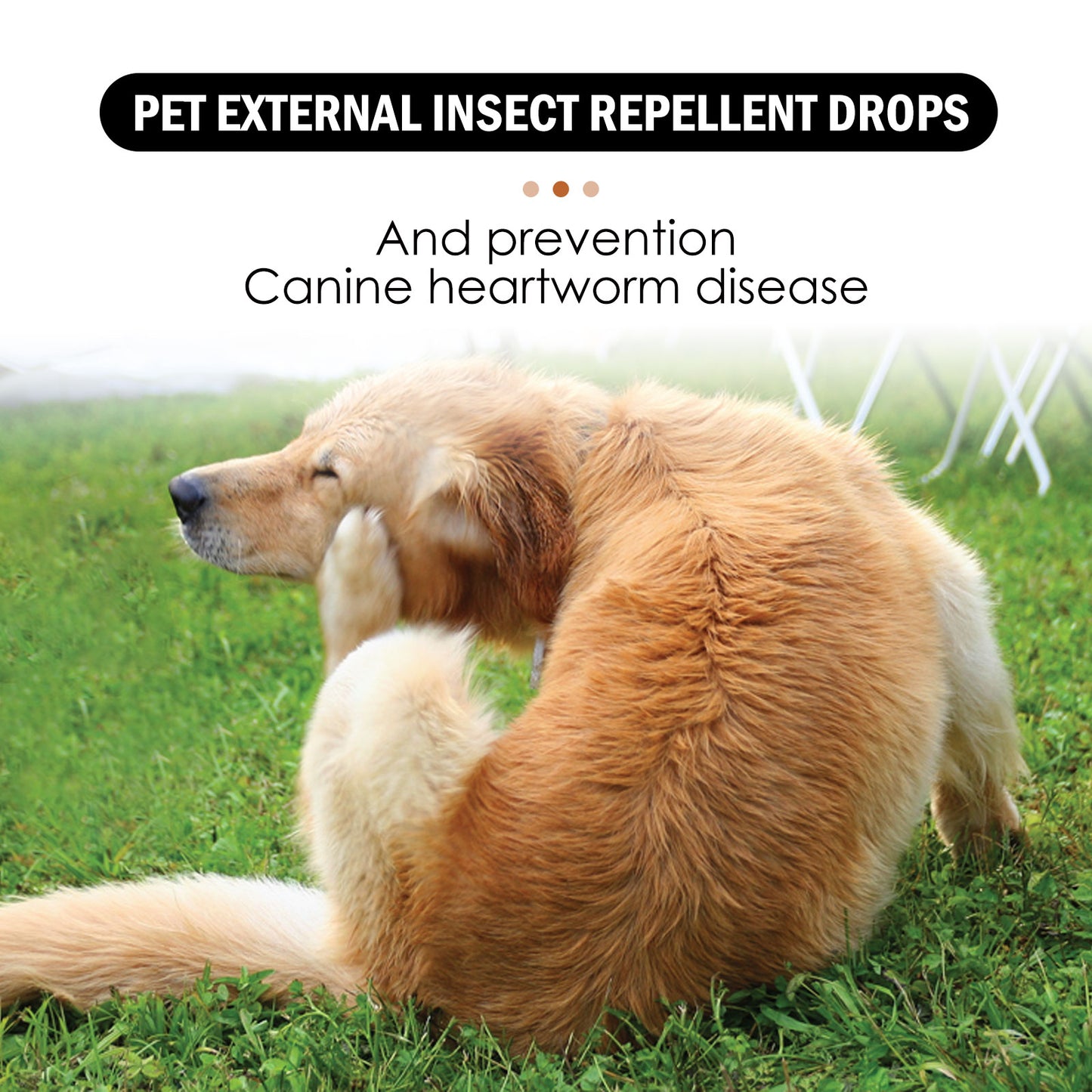 Yegbong Pet Extracorporeal Repellent Drops Cats and Dogs Clean to Remove Lice Ticks Flea Drops