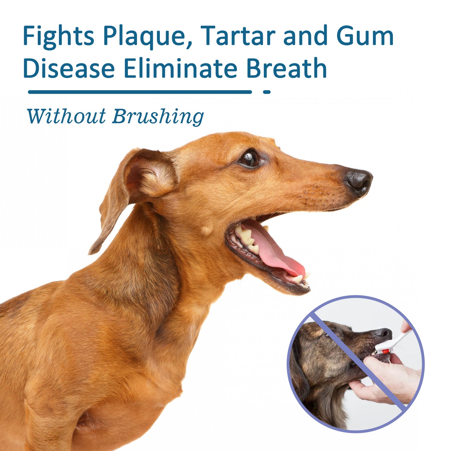 Yegbong pet oral cleaning spray for cats and dogs in addition to tartar halitosis fresh oral care spray