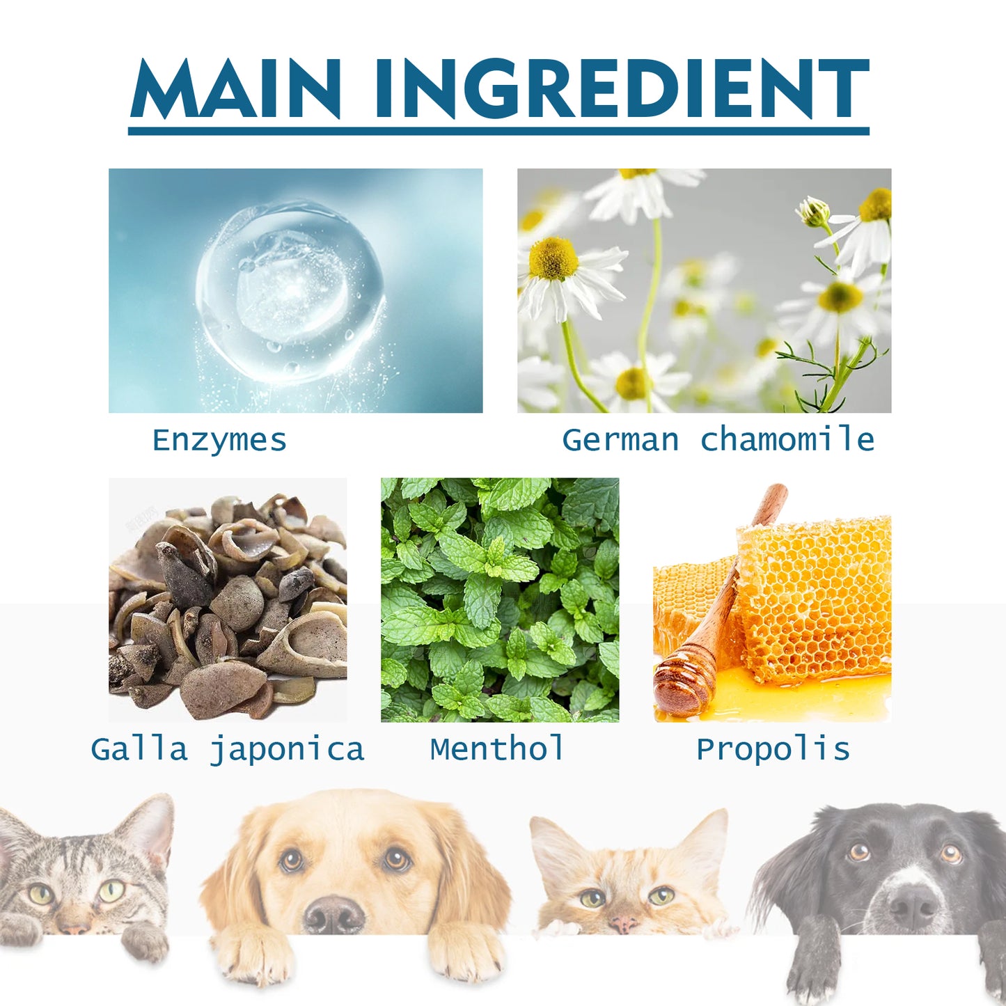 Yegbong pet oral cleaning spray for cats and dogs in addition to tartar halitosis fresh oral care spray