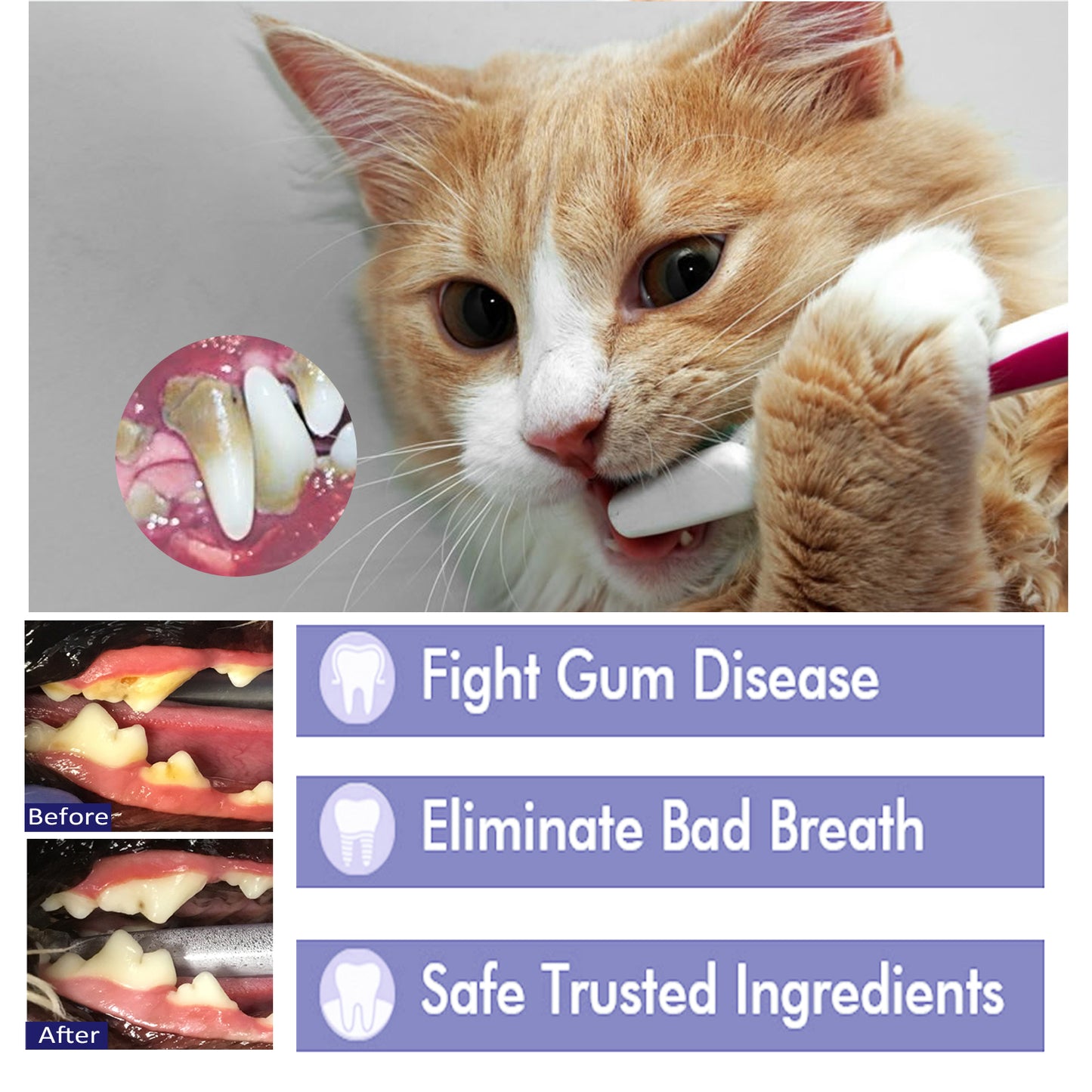 Yegbong Pet Oral Cavity Cleaning Cream Cats and Dogs Clean Oral Odor Tartar Tooth Stains White Tooth Paste
