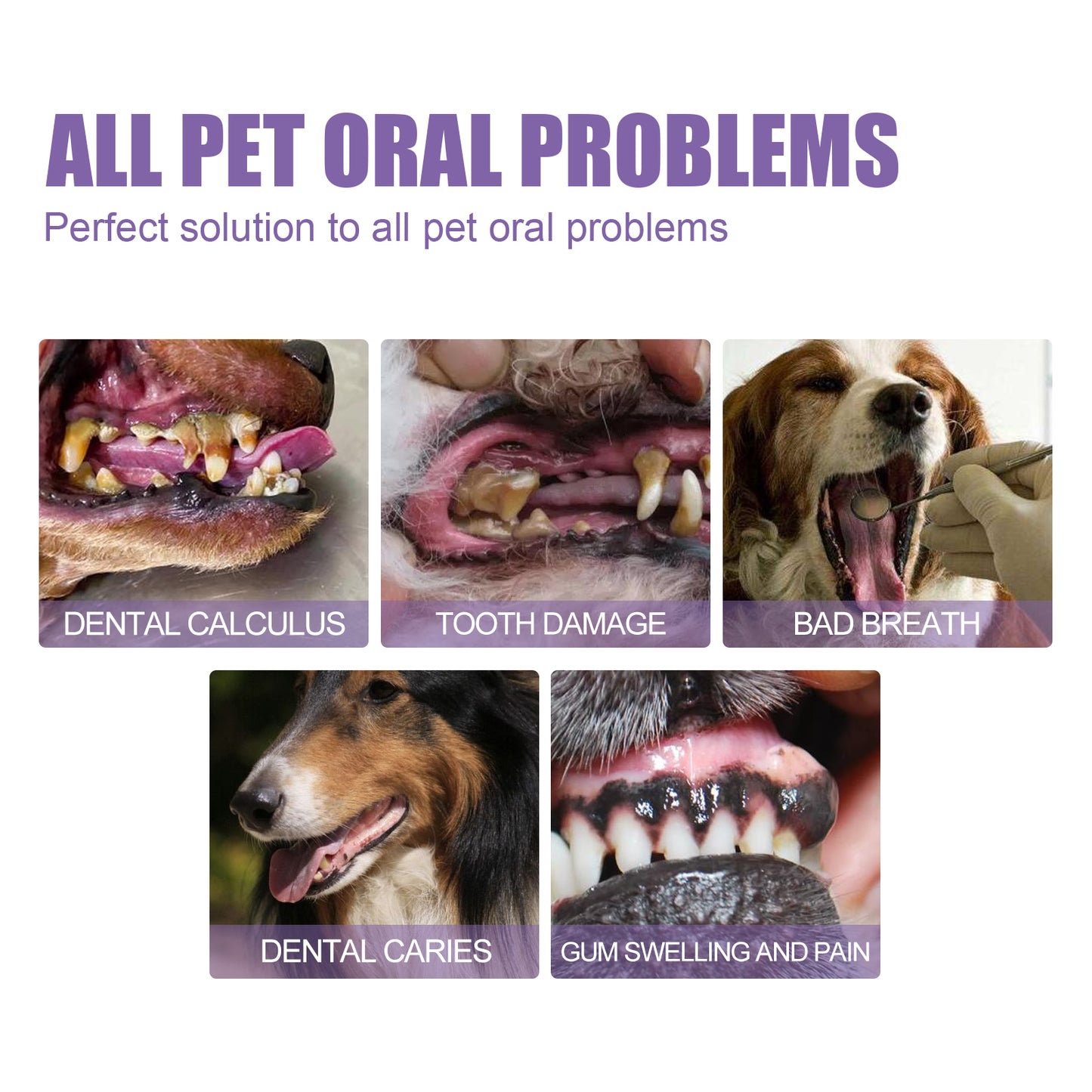 Yegbong Pet Oral Repair Gel (2pcs) Deep Cleaning Dog Cat Tooth Stains Oral Cleaning Care