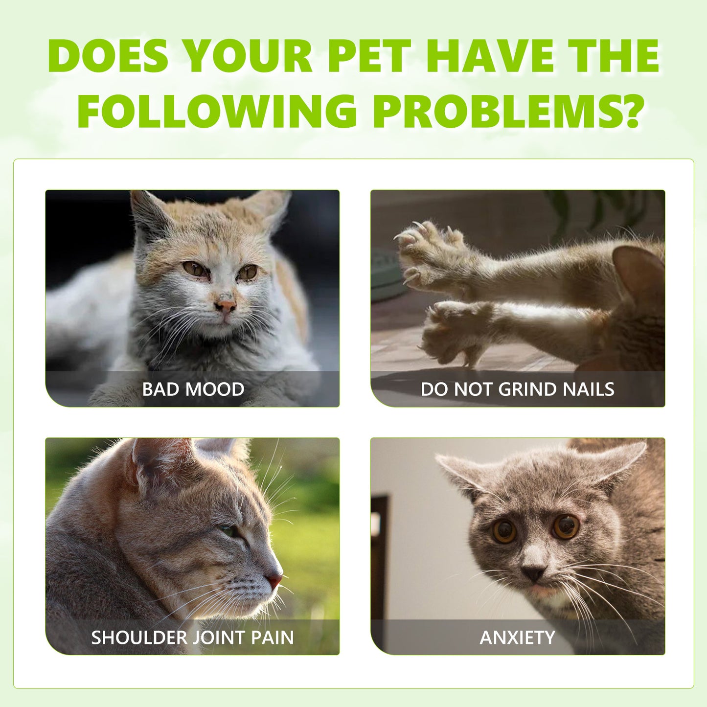 Yegbong Catnip Spray Relieve Cats' Anxiousness Enhance Pet Vitality Health Care Spray