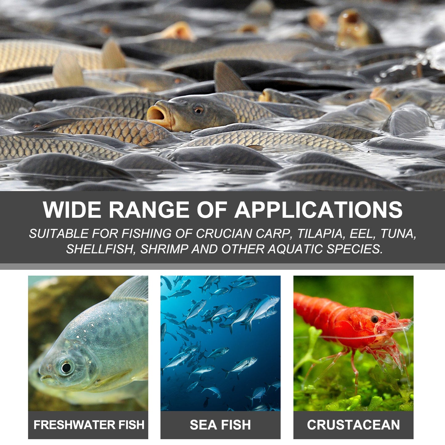 Yegbong bait attractant reservoir bait fishing lure fish portable fish attractant