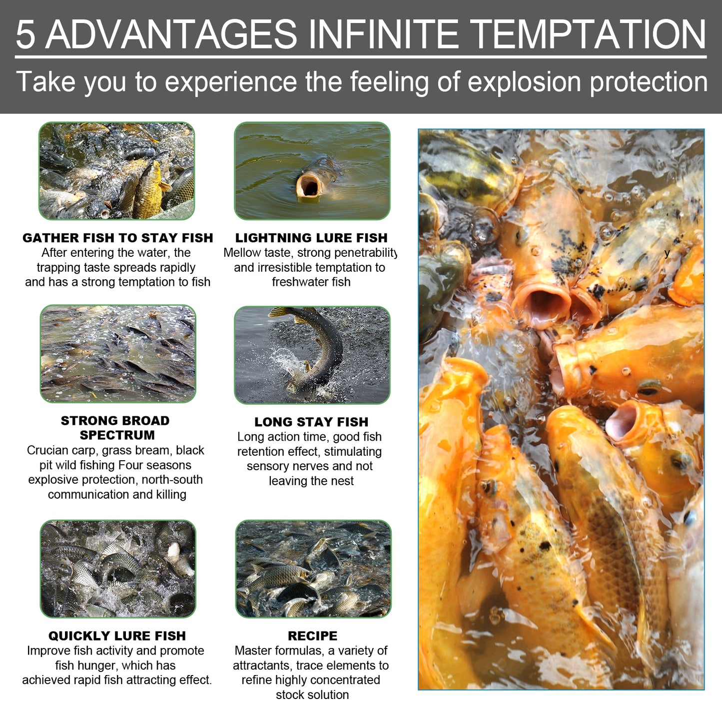 Yegbong bait attractant reservoir bait fishing lure fish portable fish attractant