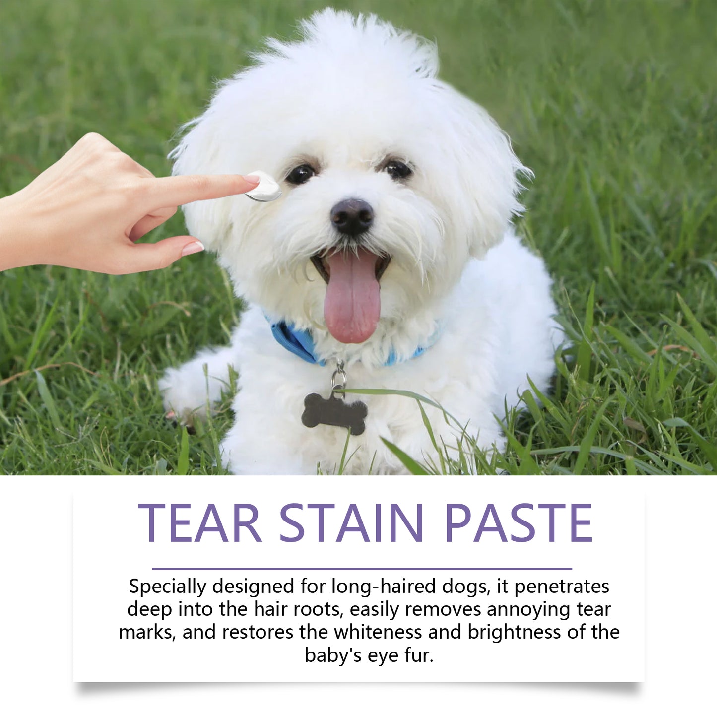Yegbong Dog Eye Ointment Pet Dog Eye Gentle Cleaning Eye Scale Tears Moisturizing Care Dog Eye Ointment
