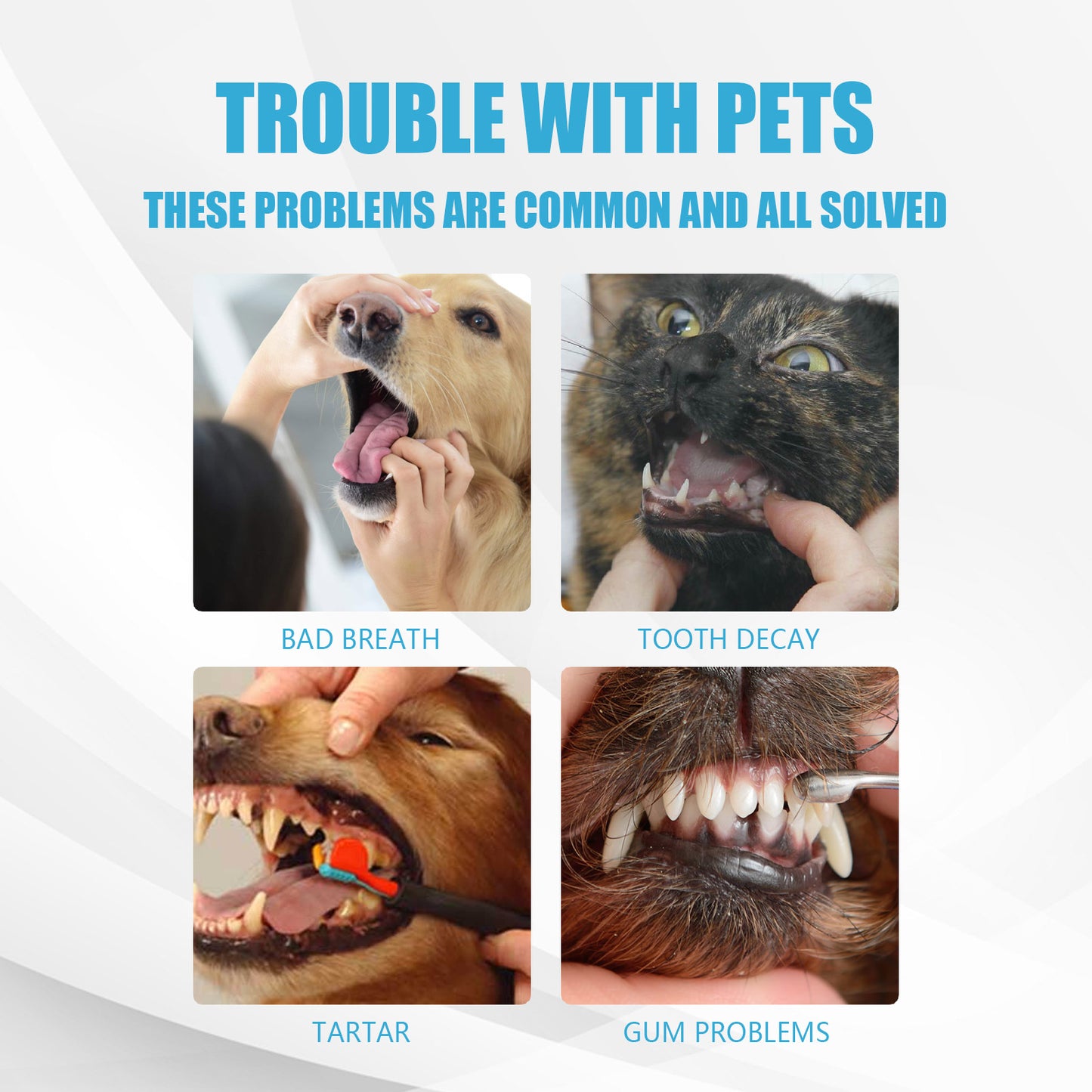 Yegbong pet toothpaste fresh breath bad breath tartar cleaning dog cat oral care edible toothpaste