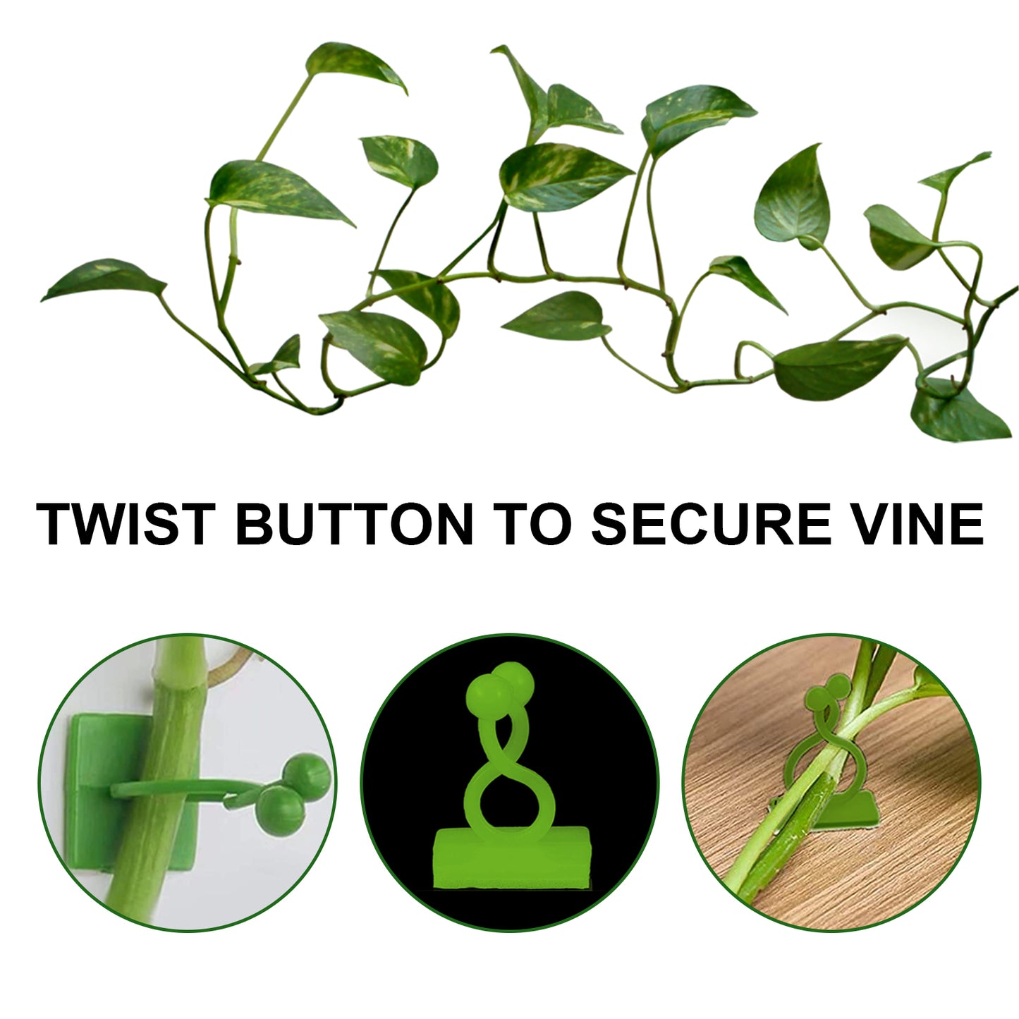 Yegbong Plant Climbing Wall Fixer Household Vine Plant Wall Climbing Self-adhesive Fixer